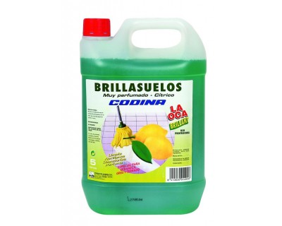 BRILLASUELOS MUY PERFUMADO CODINA 10 LITROS CITRICO