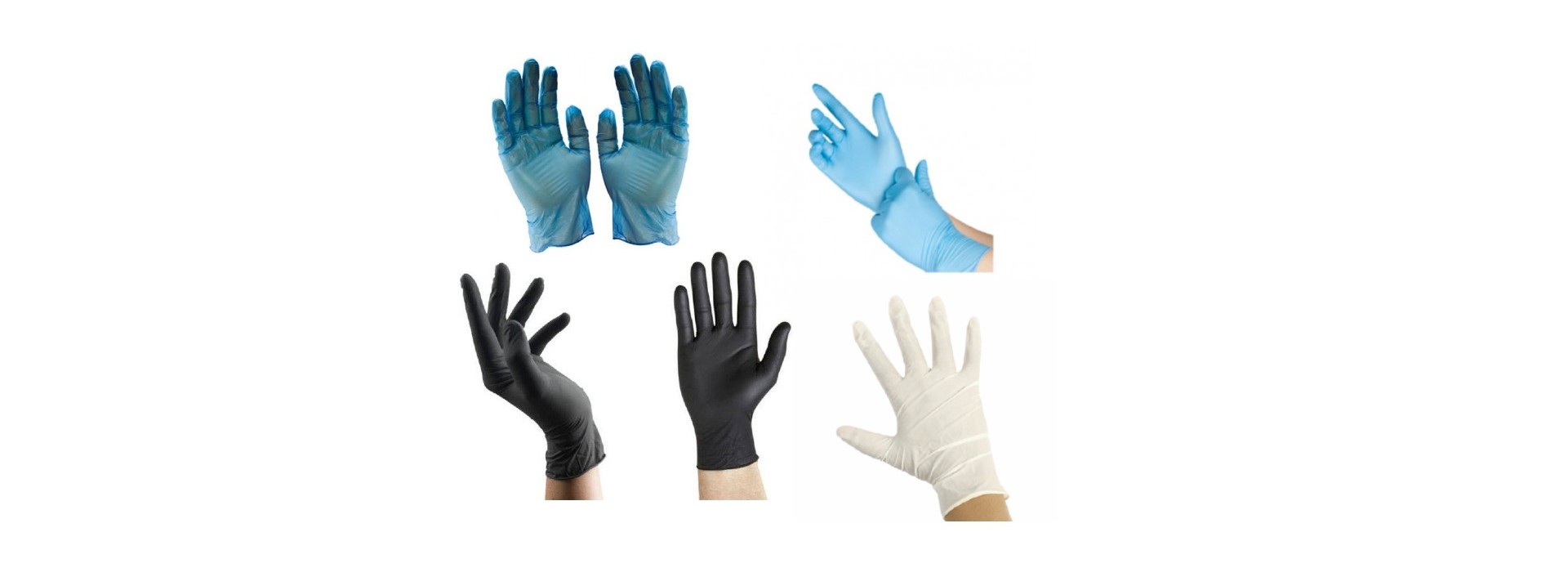 Todo tipo de guantes de nitrilo, vinilo y latex en galisl.com Tu web de la Hostelería